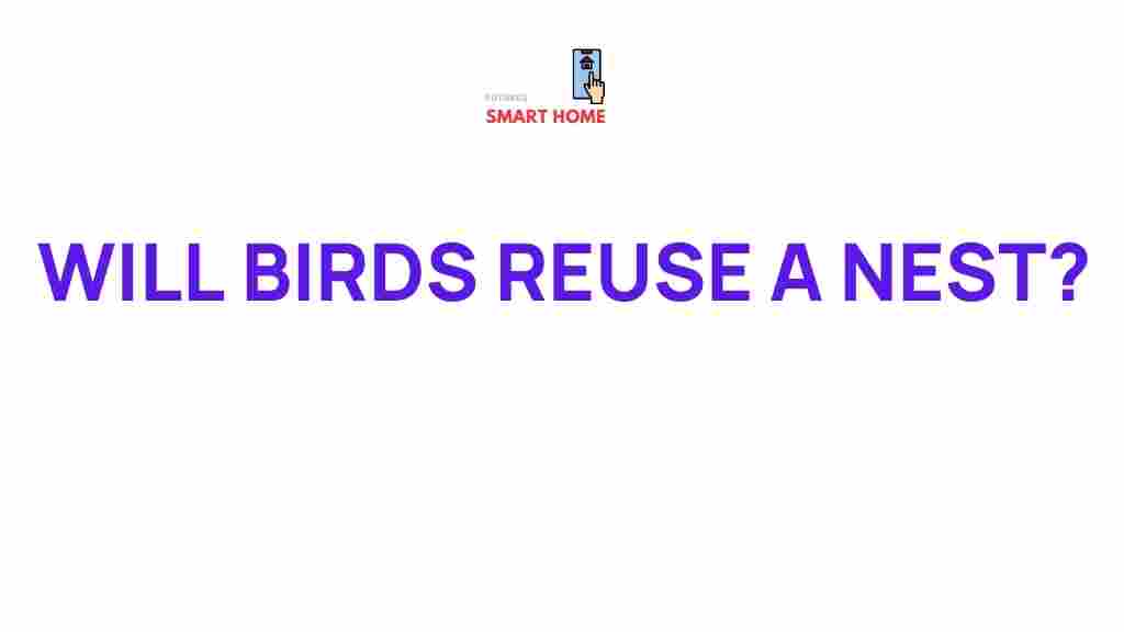 /birds-nest-reuse