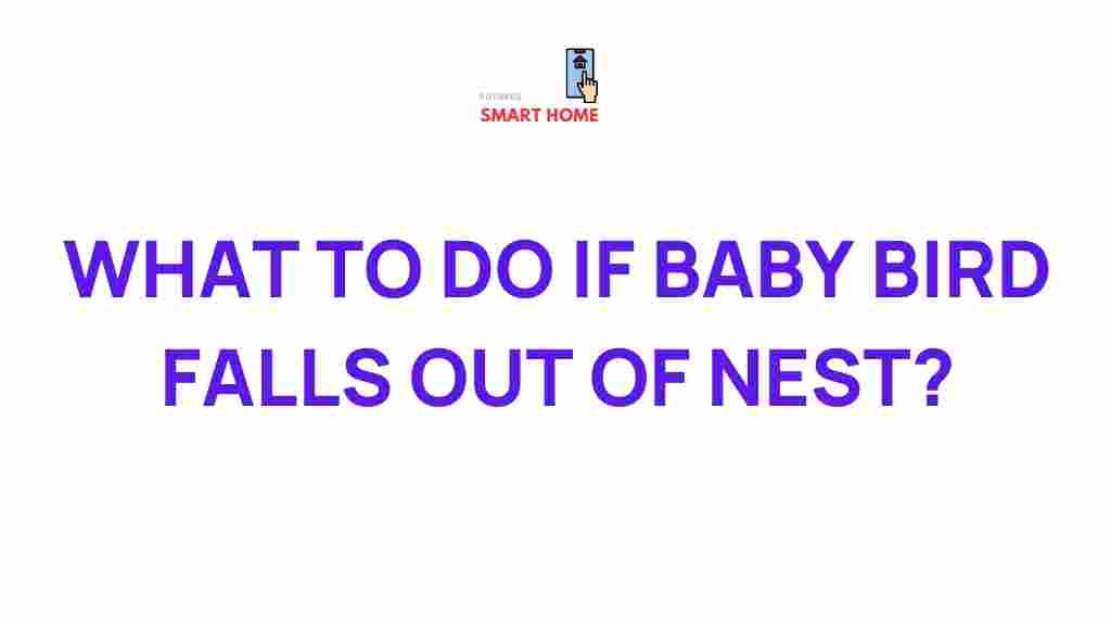 baby-bird-falls-nest-rescue-care