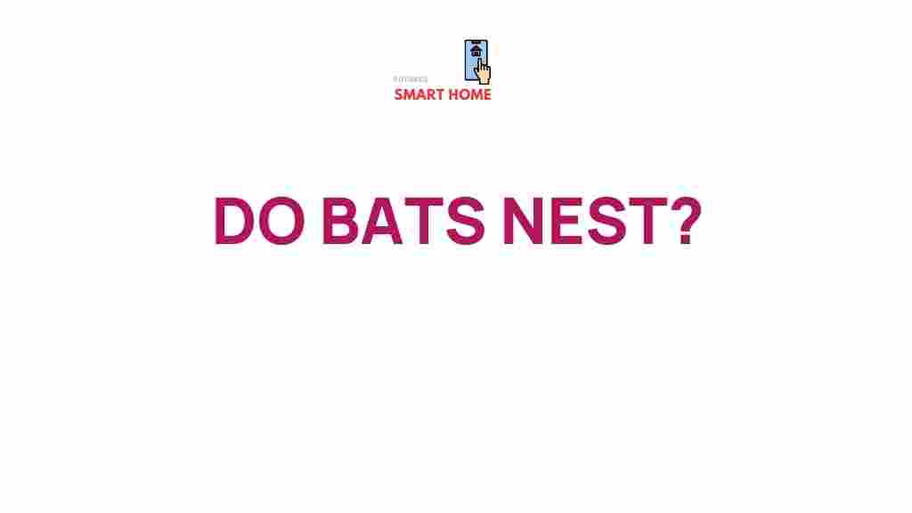 uncovering-mystery-bat-nests