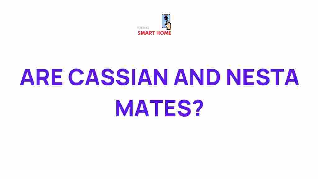 cassian-and-nesta-relationship