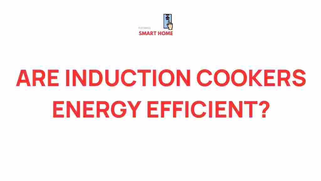 /induction-cookers-energy-efficiency