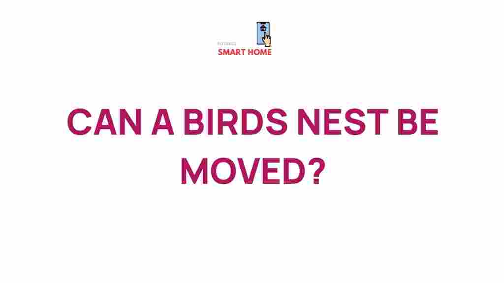 bird-nest-relocation