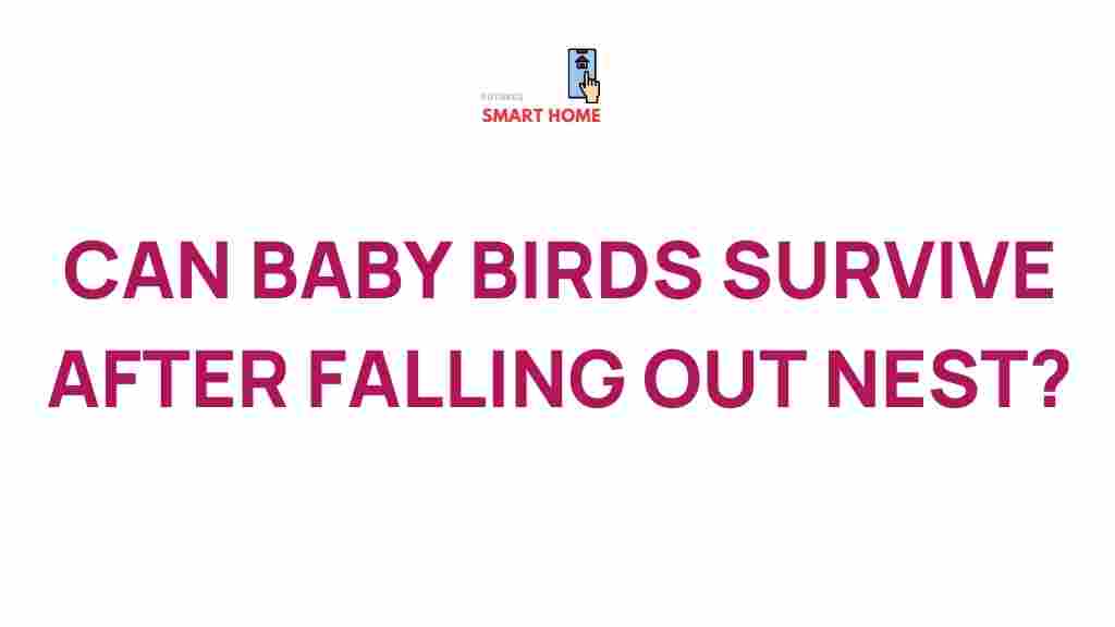 baby-birds-survival-stories