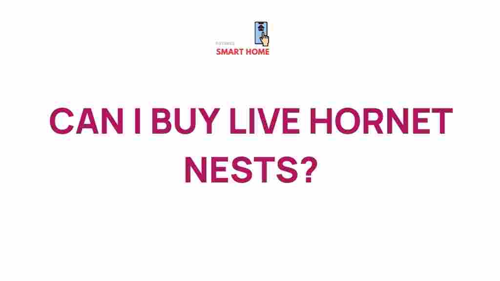 live-hornet-nests-exploration