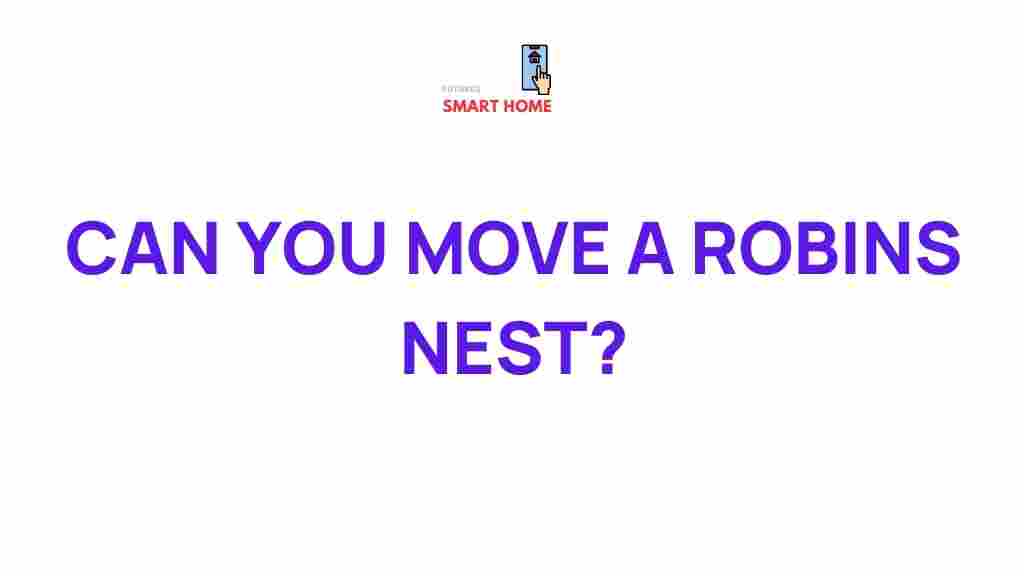 robin-nest-relocation