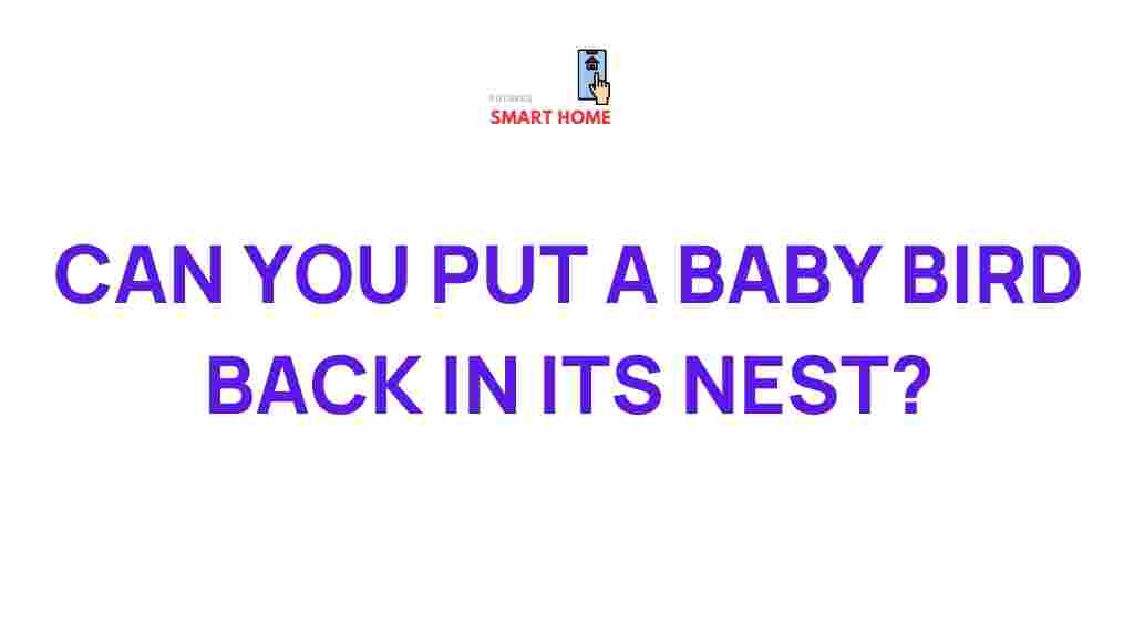 returning-baby-birds-to-nests