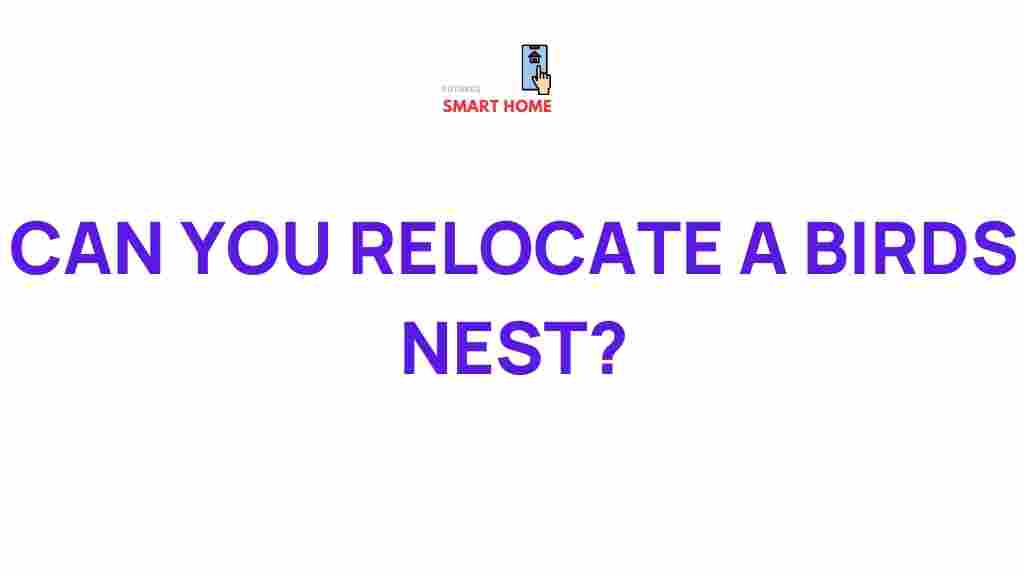 /relocate-birds-nest