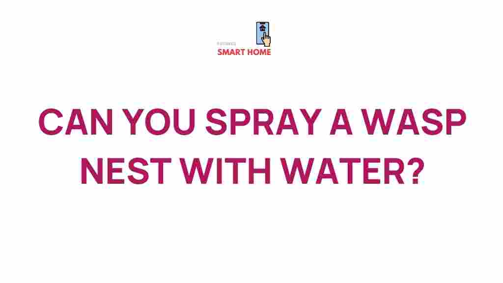 spraying-wasp-nest-water