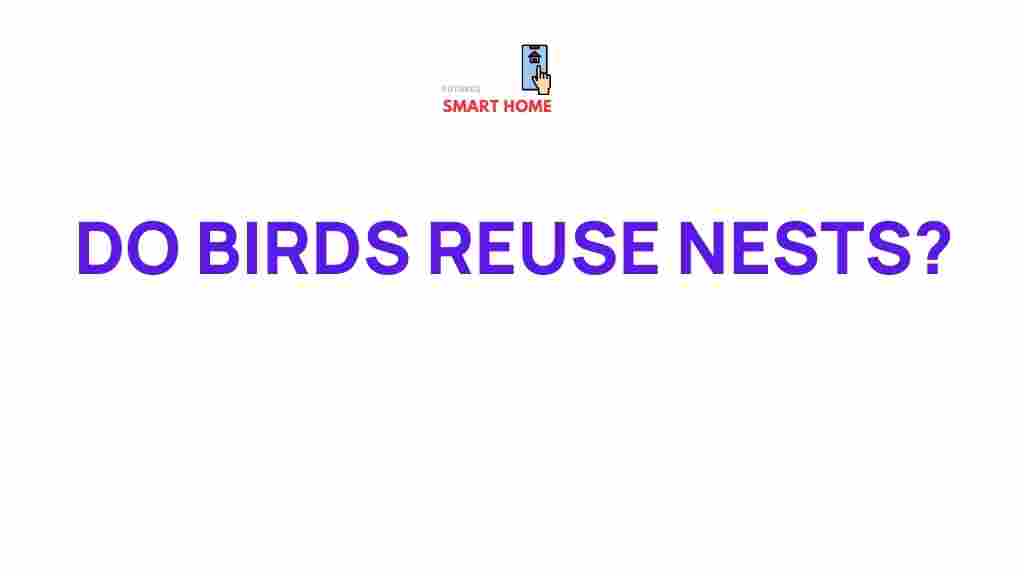 bird-nest-recycling-habit