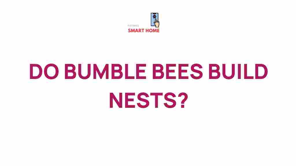 bumble-bee-nest-building