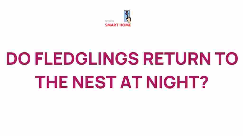 fledglings-return-nest-night