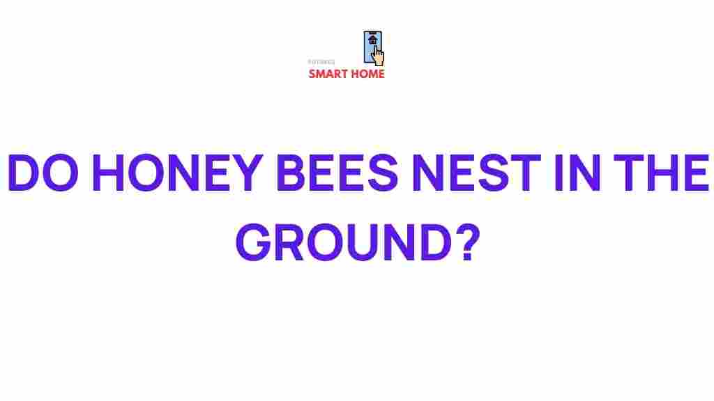 ground-nesting-honey-bees