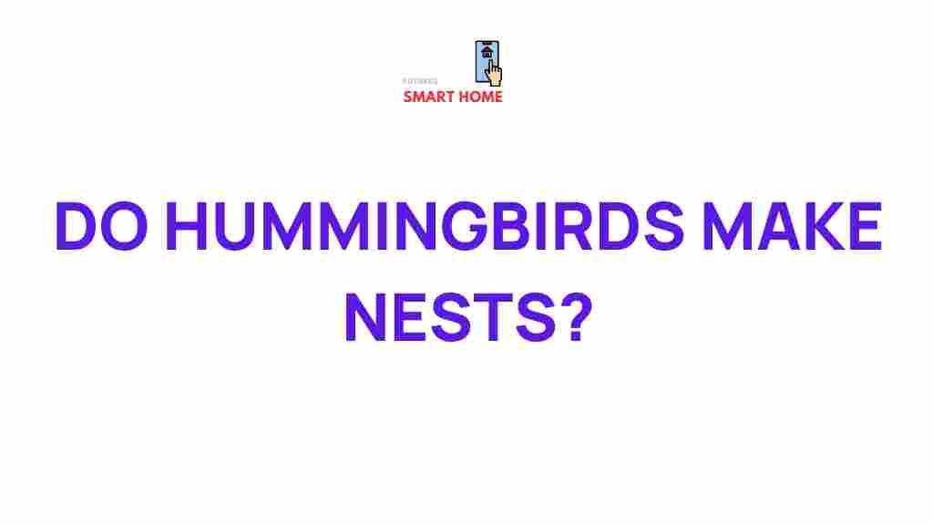 hummingbird-nests
