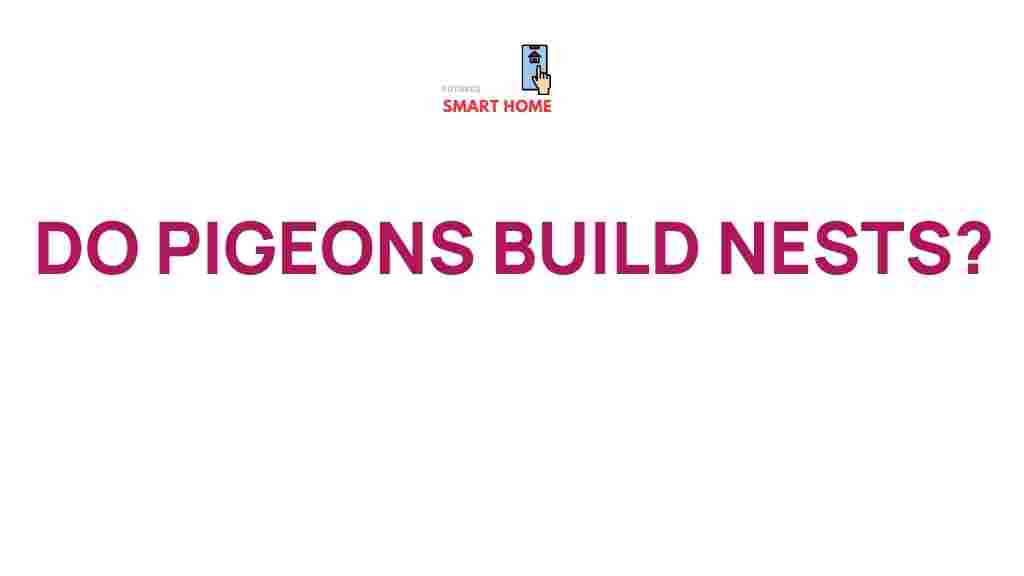 pigeon-nest-building