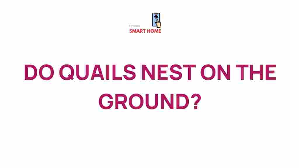ground-nesting-quails-habits