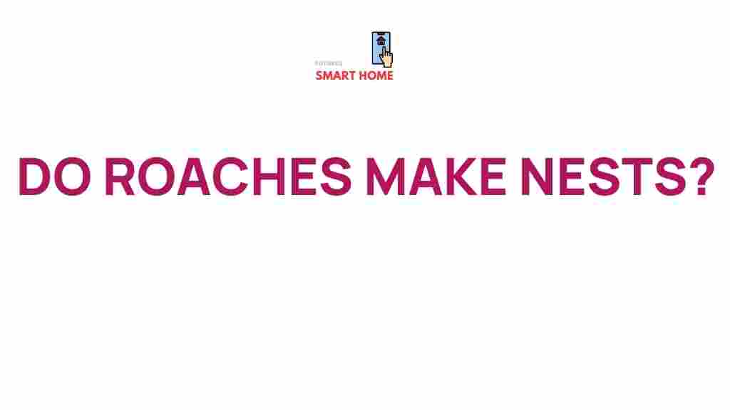 roach-nests-explained