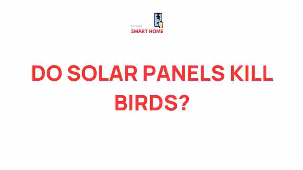 solar-panels-birds-impact
