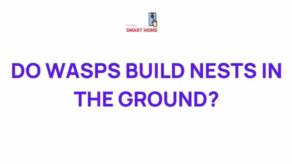 underground-wasp-nests