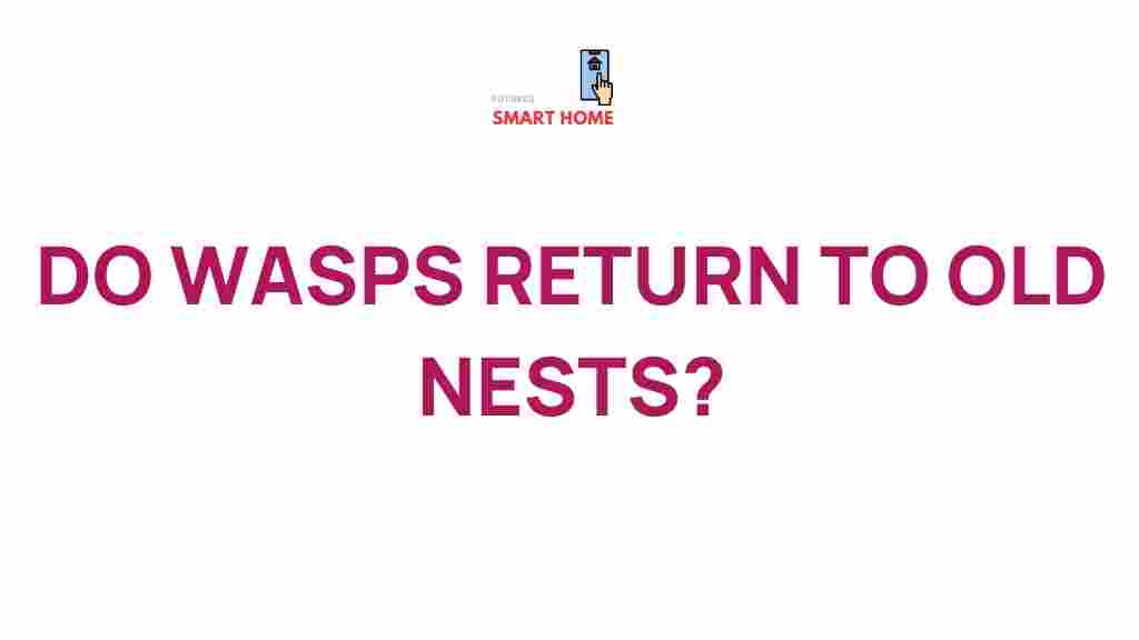 wasp-nest-reuse-mystery