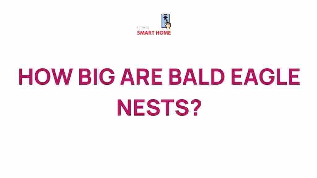 bald-eagle-nests-exploration