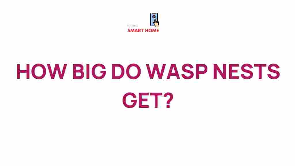 /wasp-nests-size-discovery