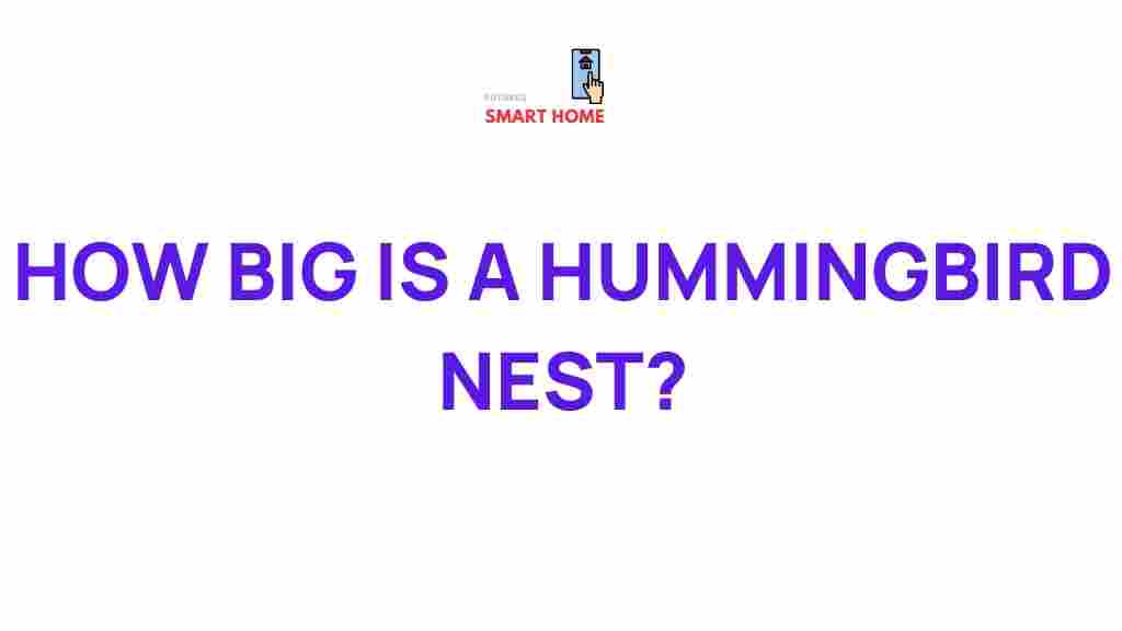 hummingbird-nest-size