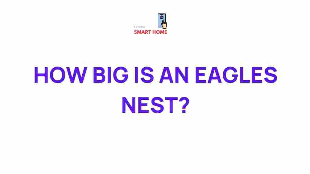 eagle-nest-size