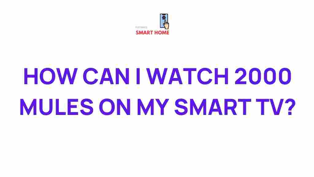 watch-2000-mules-smart-tv