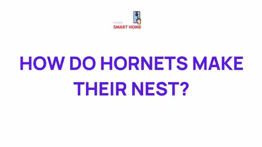 hornets-nest-construction