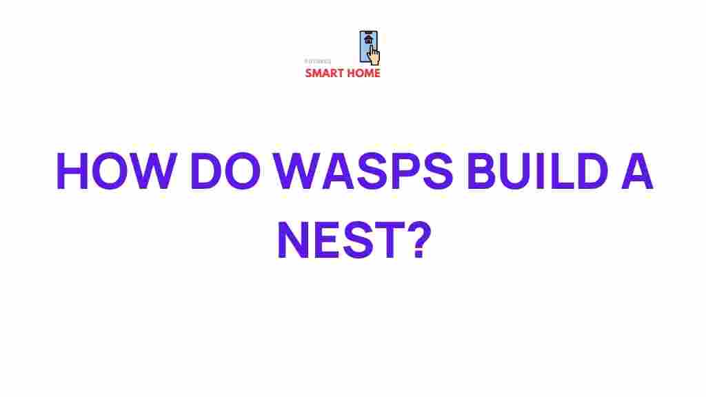 wasp-nest-construction