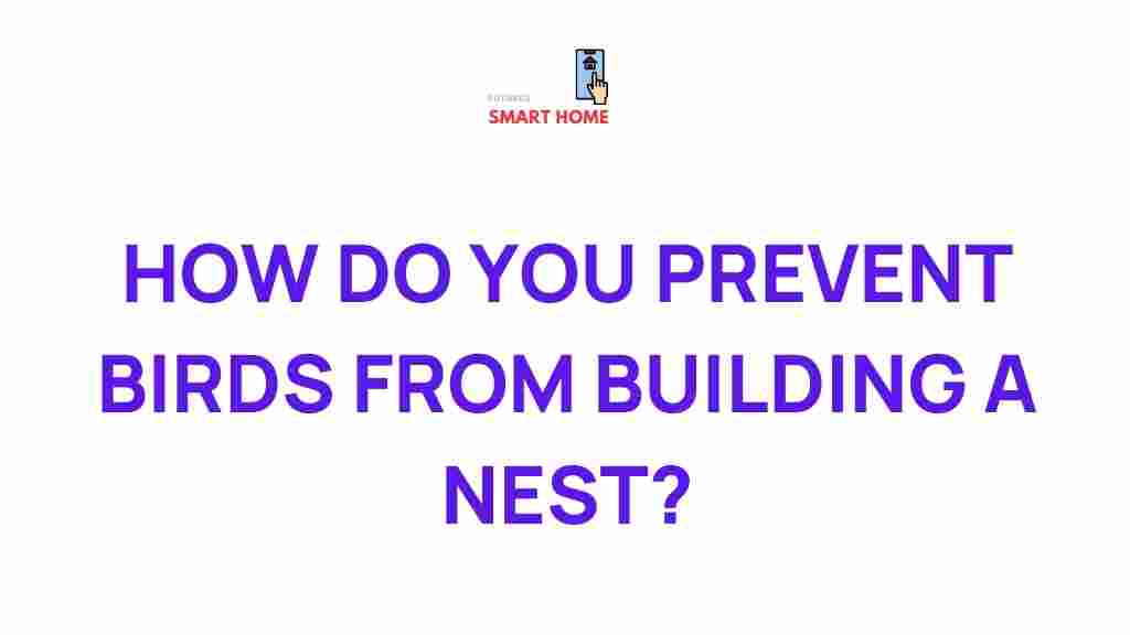 preventing-bird-nests-home