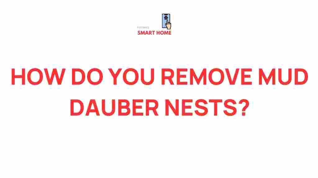 mud-dauber-nests-guide