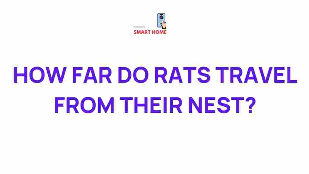 rat-migration-behavior