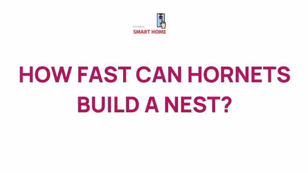 hornets-nest-building-speed