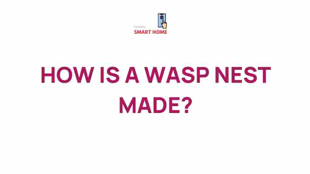 wasp-nest-construction