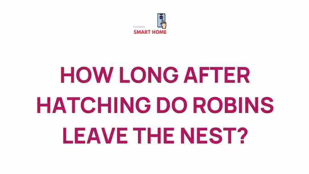 robin-nest-departure