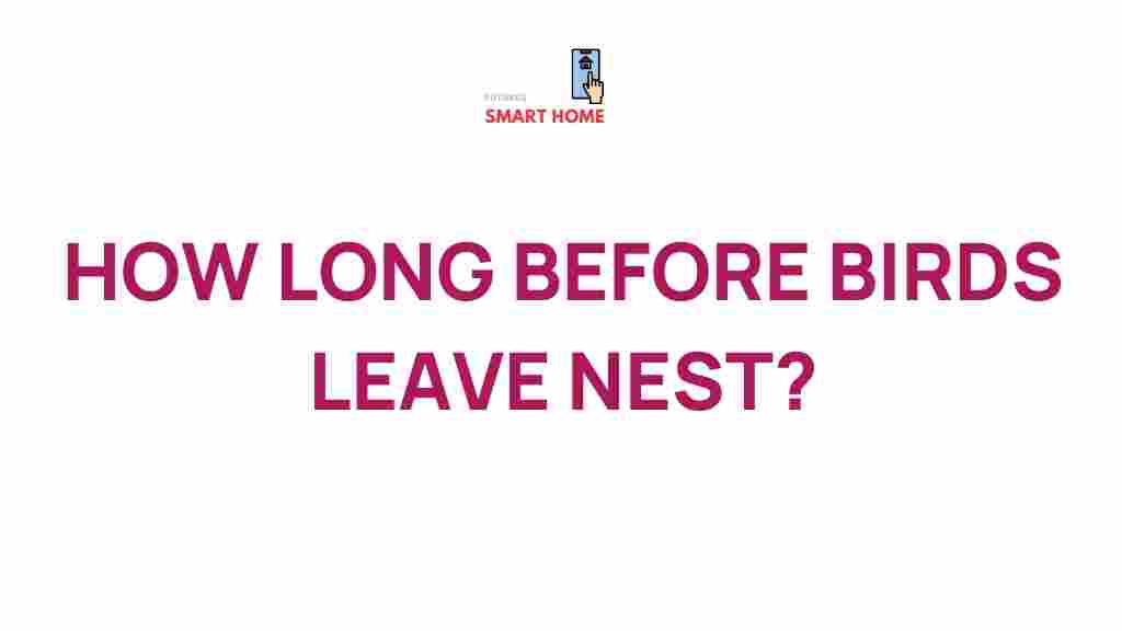 birds-leave-nest-timeline