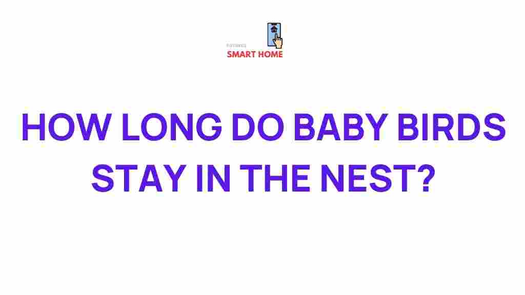 baby-birds-nest-departure