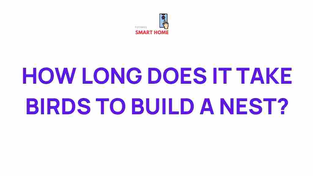 bird-nest-building-time