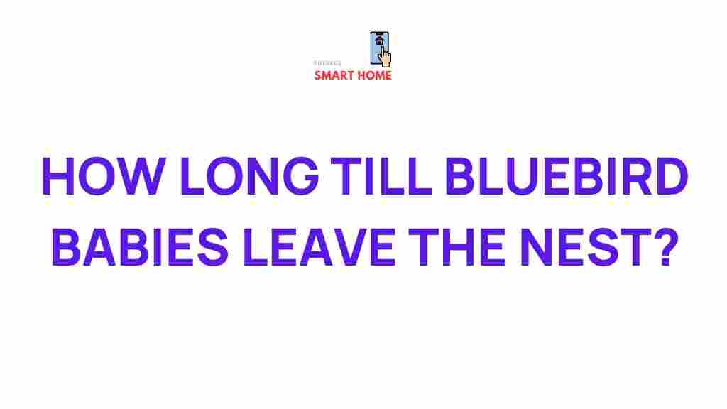 bluebird-nesting-habits