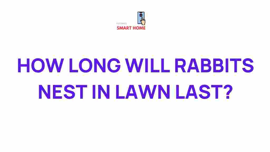 rabbits-nesting-habits-duration