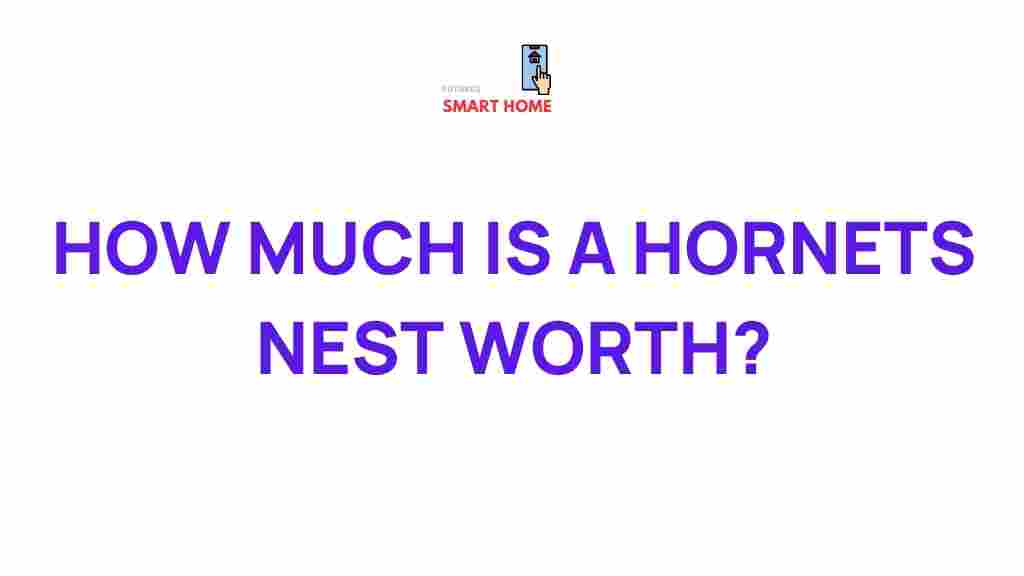 hornets-nests-value