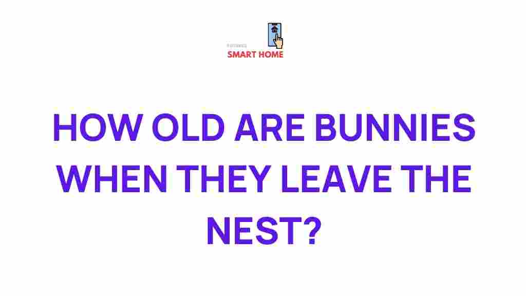 baby-bunnies-nest-journey