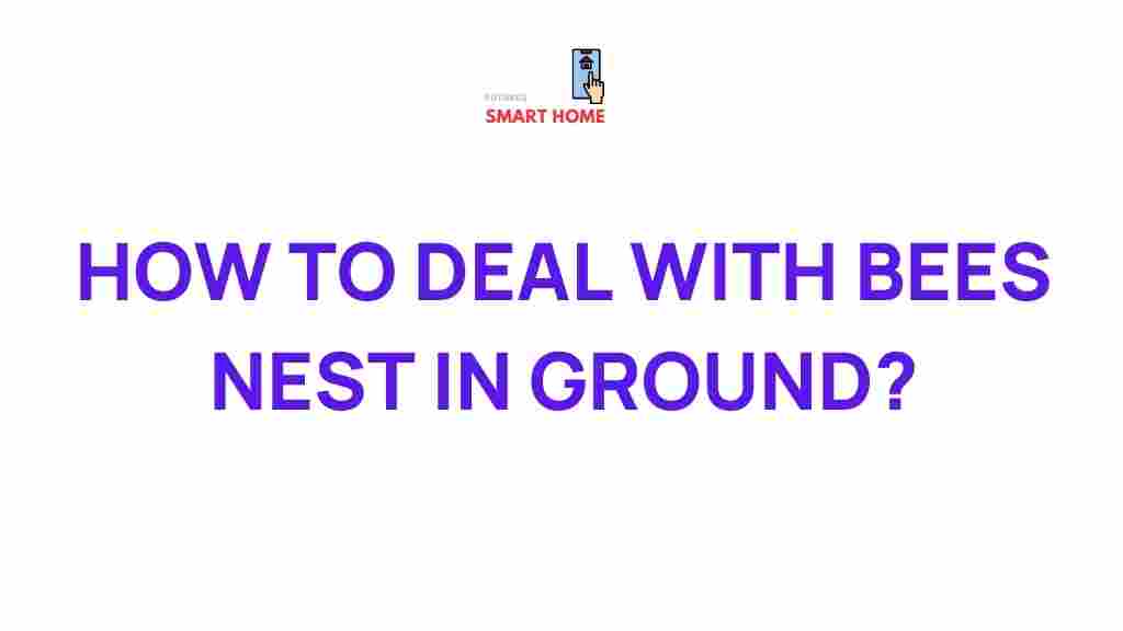 underground-bee-nests-secrets