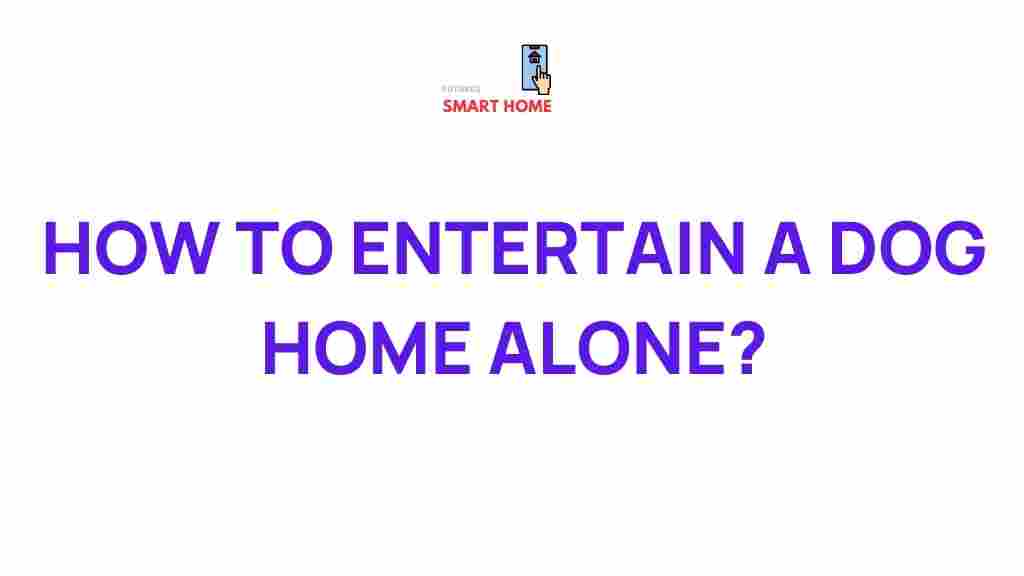 dog-entertainment-ideas-home-alone