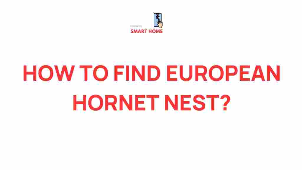 european-hornet-nest-discovery
