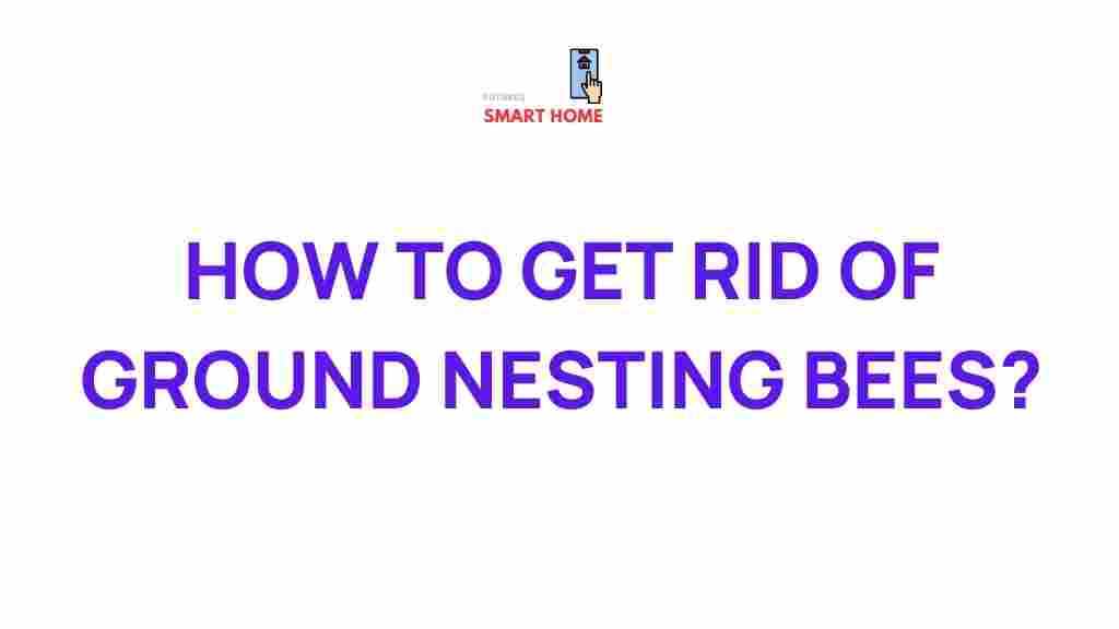 ground-nesting-bees-removal