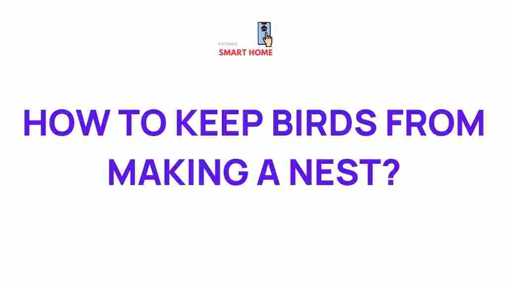bird-nest-prevention