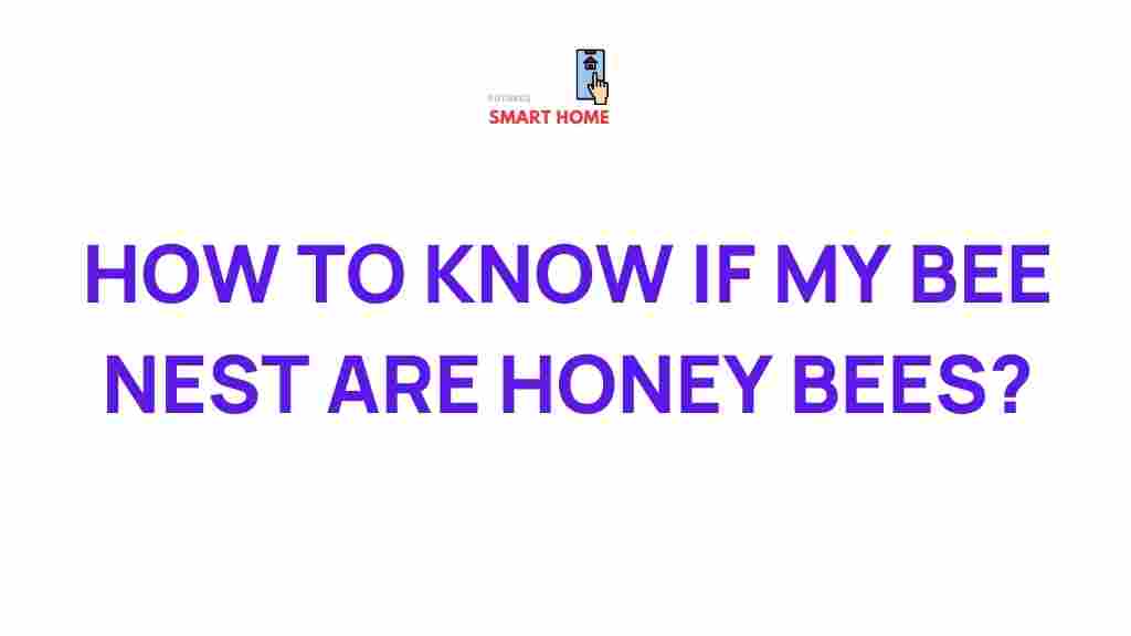 identifying-bee-nest-honey-bees