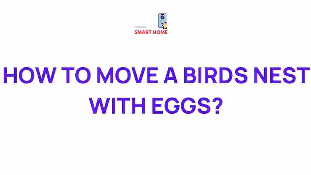 bird-nest-relocation